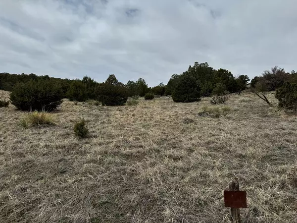 Walsenburg, CO 81089,Lot 65 Comanche Dr