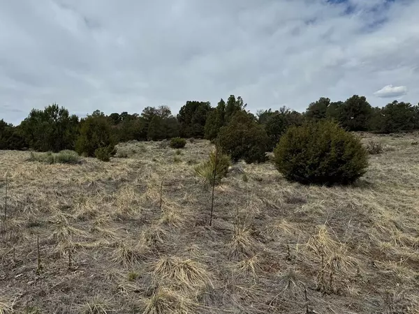 Walsenburg, CO 81089,Lot 65 Comanche Dr