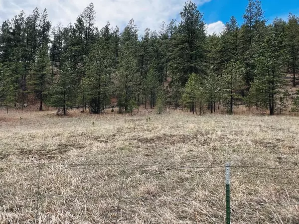 Lot 36 Logging Canyon Rd, Weston, CO 81091