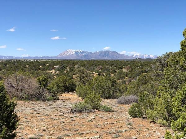 lot 898 Rio Cucharas, Walsenburg, CO 81089