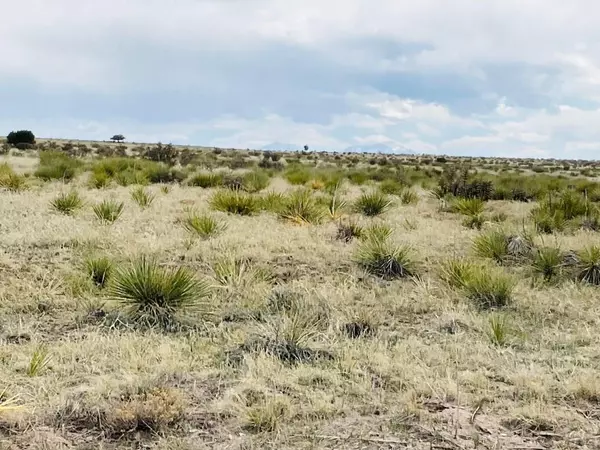 Walsenburg, CO 81089,Lot 239 Turkey Ridge Ranch