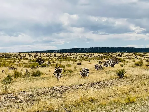 Walsenburg, CO 81089,Lot 239 Turkey Ridge Ranch