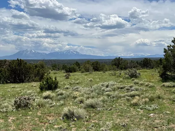 Walsenburg, CO 81089,TBD County Rd 521.3