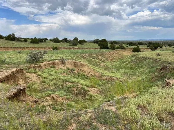 Walsenburg, CO 81089,TBD County Rd 521.3