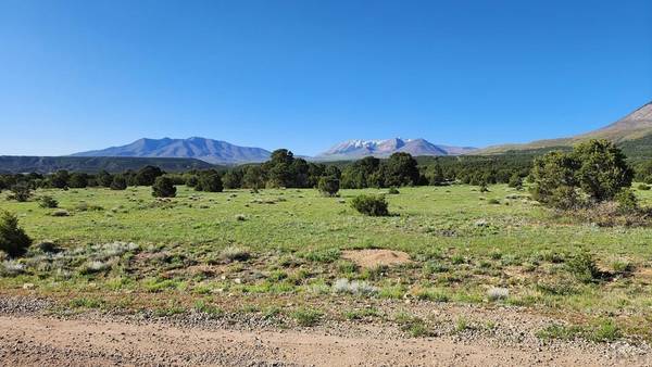 Gardner, CO 81040,60 Colorado Land and Grazing