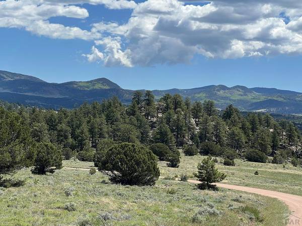 146 Shawnee Trail, Westcliffe, CO 81252