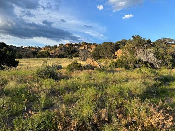 Lot 72 Colorado Land and Grazing, Gardner, CO 81040