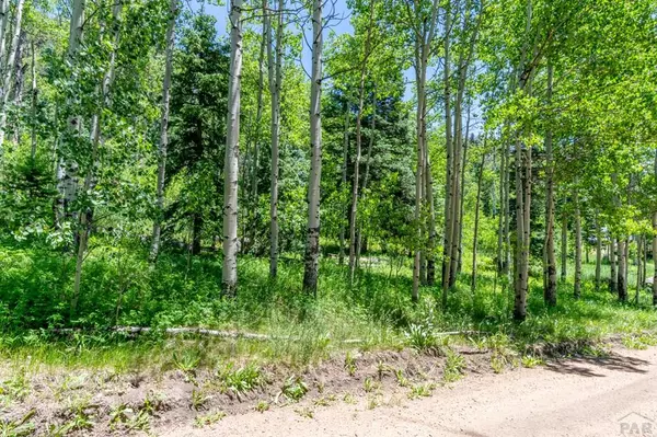 Rye, CO 81069,tbd Westcliffe Dr