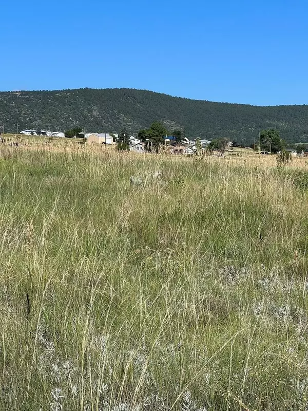 Canon City, CO 81019,Lot 453 Las Animas Way