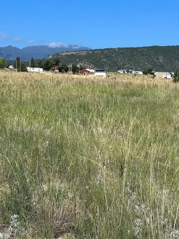 Canon City, CO 81019,Lot 453 Las Animas Way