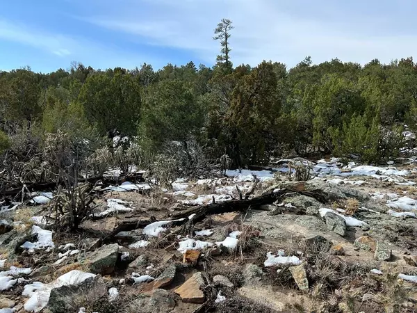 Walsenburg, CO 81089,28 Turkey Ridge Ranch