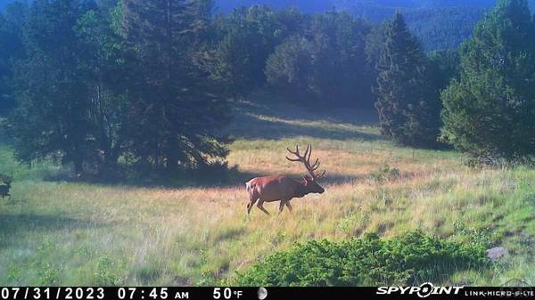 Gardner, CO 81040,TBD County Rd 575.1