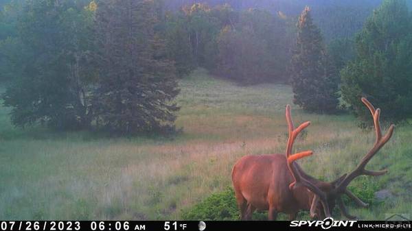 Gardner, CO 81040,TBD County Rd 575.1