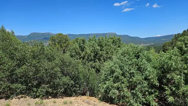 230 Old Mission Ridge, Trinidad, CO 81082