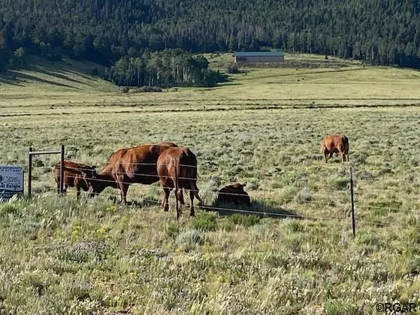 TBD Eagle's Gate Road, Westcliffe, CO 81252