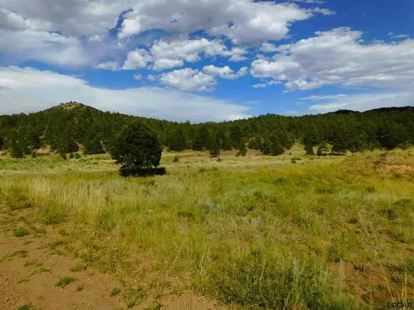 TBD Seven Mile Ranch Road, Westcliffe, CO 81252