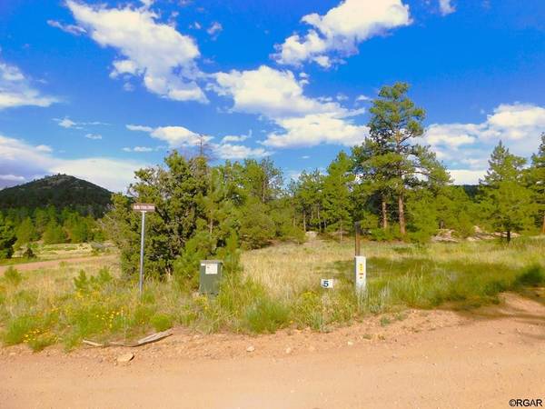 Westcliffe, CO 81252,TBD Lot 5 Bella Vista Drive