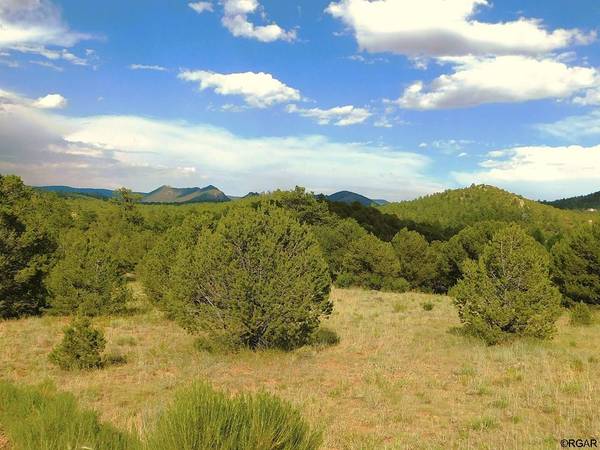 Westcliffe, CO 81252,TBD Lot 5 Bella Vista Drive