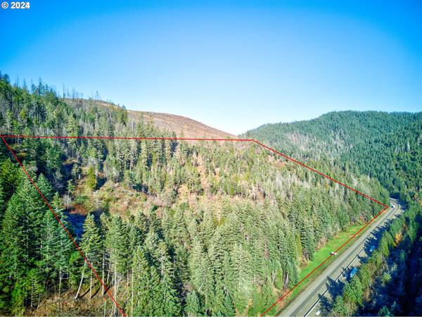 280 RITCHIE RD, Canyonville, OR 97417