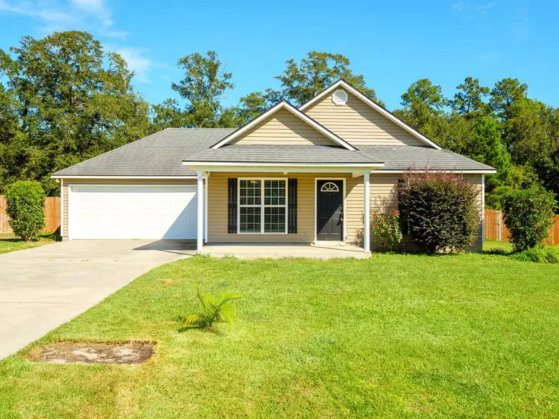 44 Palmetto Pines Circle, Ray City, GA 31645