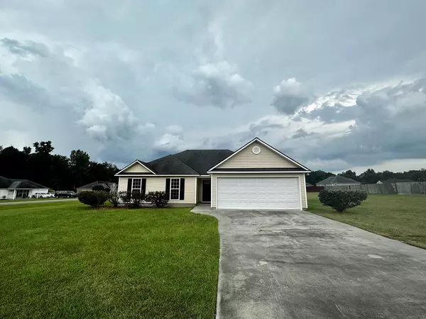 Ray City, GA 31645,33 Palmetto Pine Circle