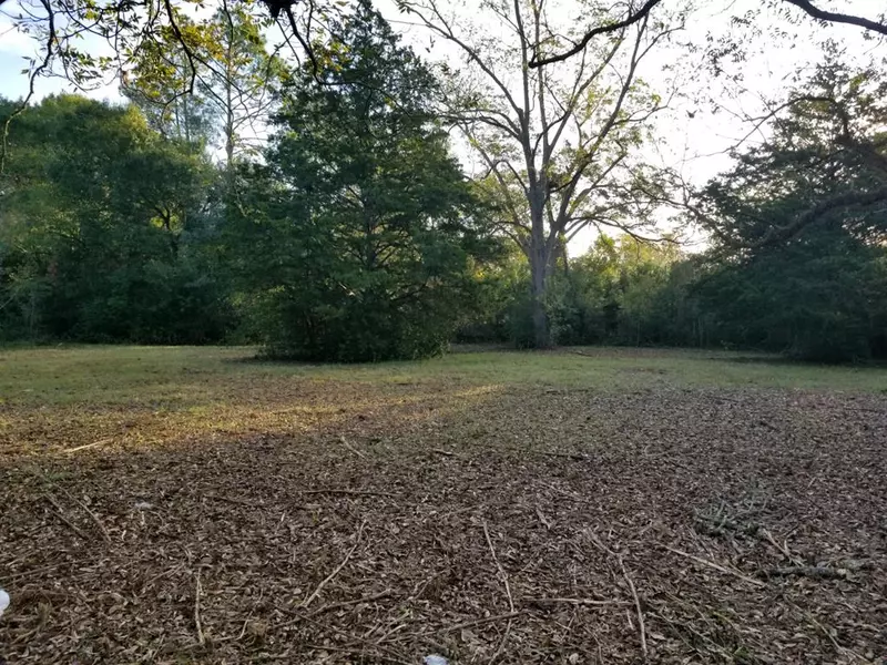 Lot Pauline Ave, Ray City, GA 31645