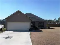 34 Palmetto Pine Lane, Ray City, GA 31645