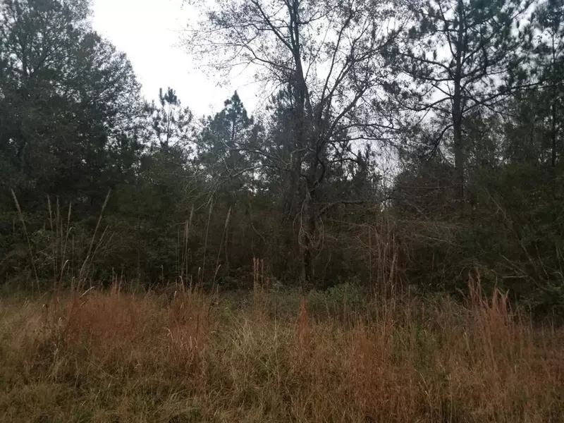 Lot Maplewood Drive, Ray City, GA 31645