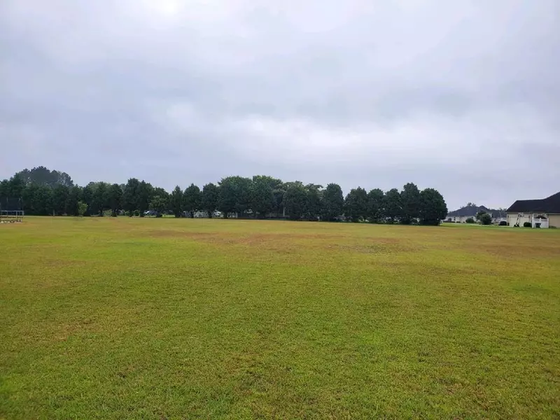 Lot 22 Woody Springs Drive, Nashville, GA 31639