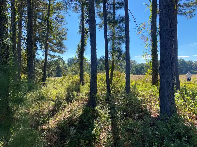 LOT #4 HILL ROAD, Ray City, GA 31645