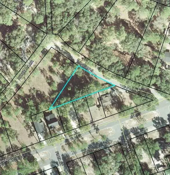 Lake Park, GA 31636,.3 AC CLYDETTA DR