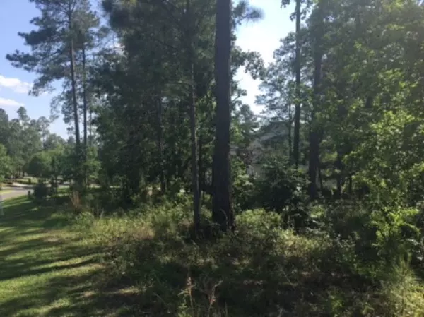 Valdosta, GA 31601,3883 Kinderlou Forest