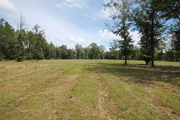 Nashville, GA 31639,14.91 Ac Old Valdosta Rd.