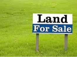 Lakeland, GA 31635,0 Boyette Rd