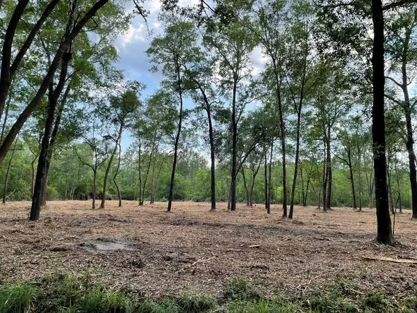 Lake Park, GA 31636,Lot 1 Copeland Road