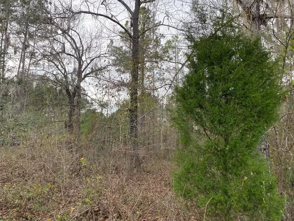 Valdosta, GA 31605,Lot 13 Whithorn Way