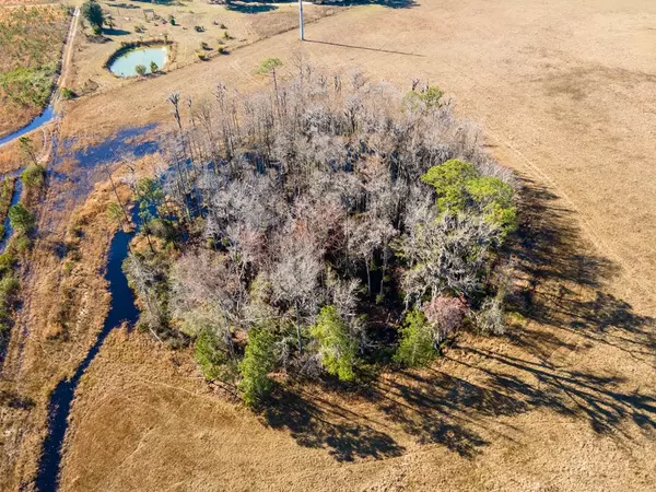 Lake Park, GA 31636,70.94ac Doe Run Lane