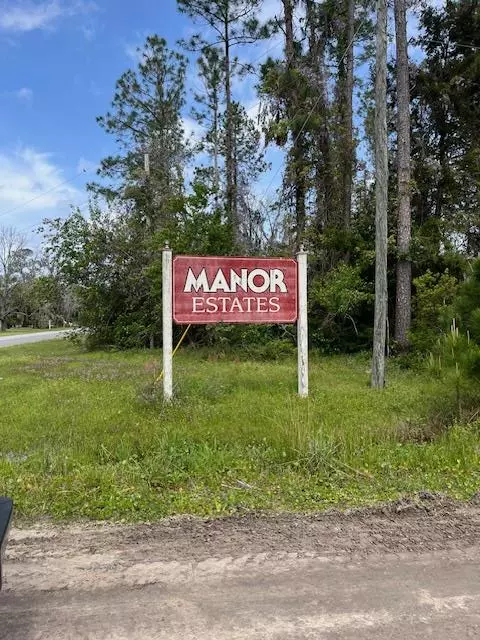 Lot 3 Henderson Drive, Manor, GA 31550