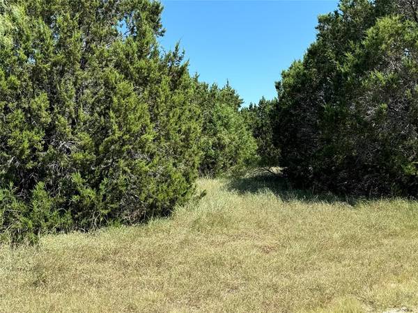 Whitney, TX 76692,40057 Radde Road