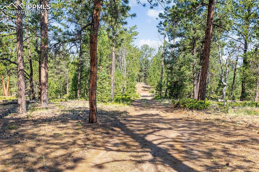 464 Hidden PT, Florissant, CO 80816