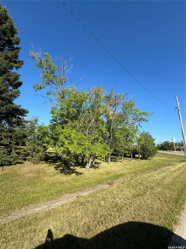 501&503 Macmillian STREET, Hudson Bay, SK S0E 0Y0