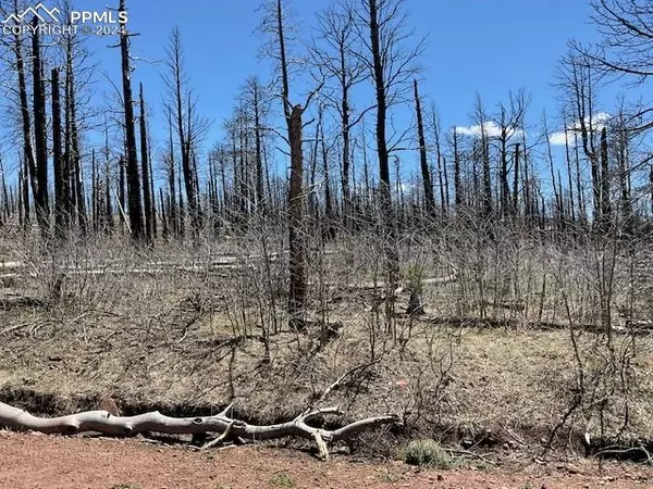 Fort Garland, CO 81133,2252 Port LOOP