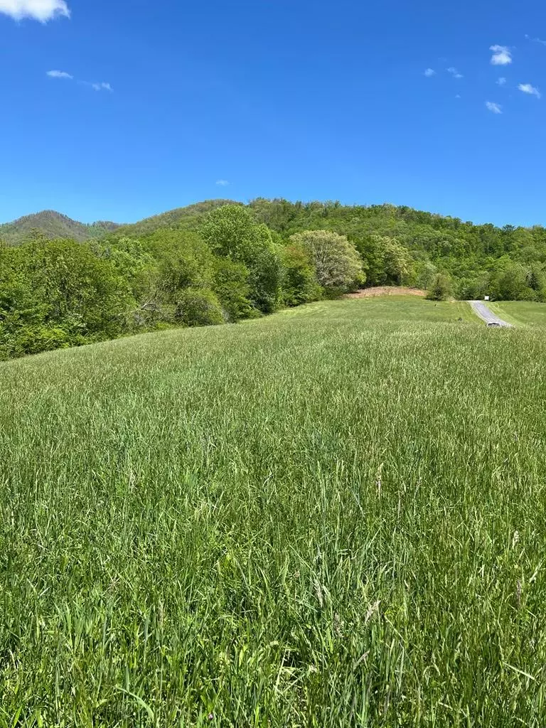 Hayesville, NC 28904,Lot 2M Ridges Overlook