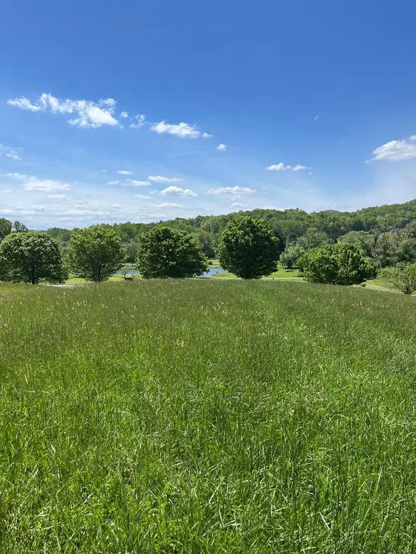 Hayesville, NC 28904,Lot 2M Ridges Overlook