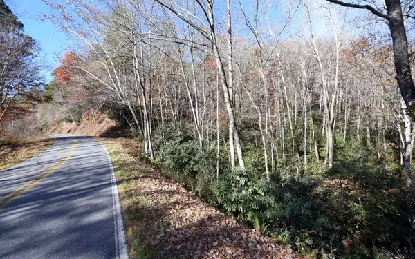 Hayesville, NC 28904,00 Fires Creek Road