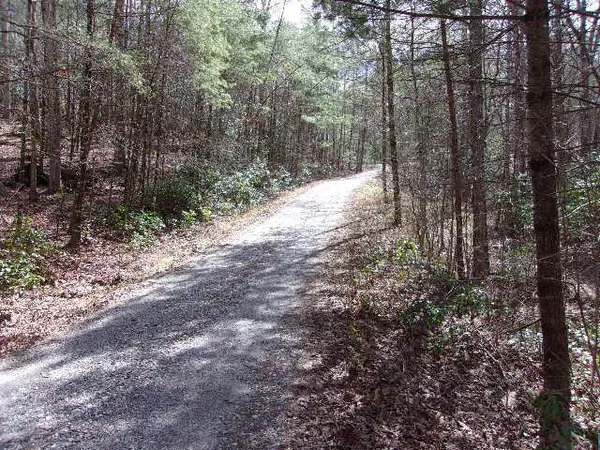 Blairsville, GA 30512,Lot 13 Allison Lane