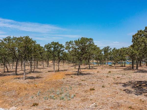 Bowie, TX 76230,Lot 10 Choate