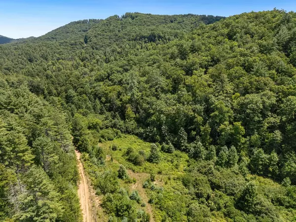 Mineral Bluff, GA 30559,80 ACRE Shangri La Drive