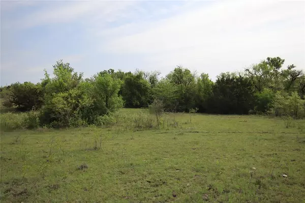 Hamilton, TX 76531,TBD CR 210-Wallace Tract 7