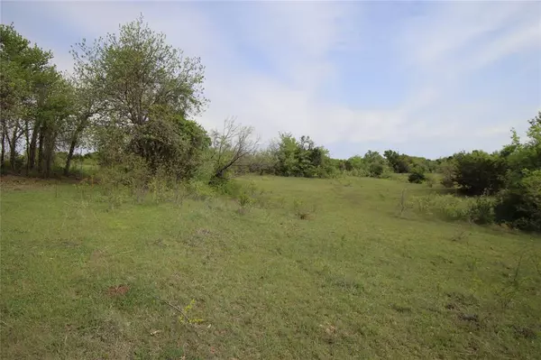 Hamilton, TX 76531,TBD CR 210-Wallace Tract 7